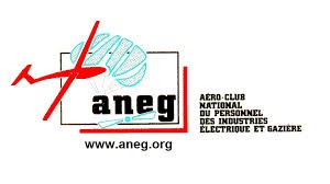 logo aneg